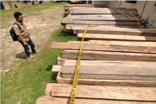 Menteri LHK Cepat Tanggap Atasi <i>Illegal Logging</i> di Simalungun