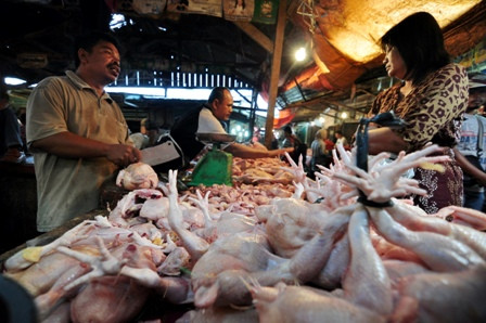Harga Beras Naik, Harga Ayam Potong Stabil