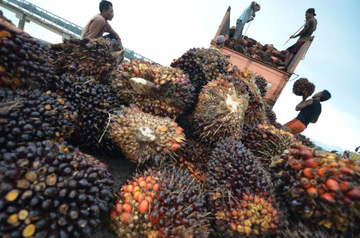 Isu Miring Industri Kelapa Sawit Rugikan Sinar Mas