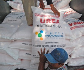 Peran Koperasi Penting dalam Penyaluran Pupuk Bersubsidi