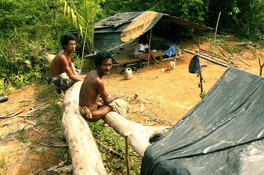 Sebelas Warga Suku Anak Dalam Meninggal karena Kurang Makanan