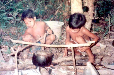 Belasan Warga Suku Anak Dalam Kritis tapi tak Bisa Tinggalkan Hutan