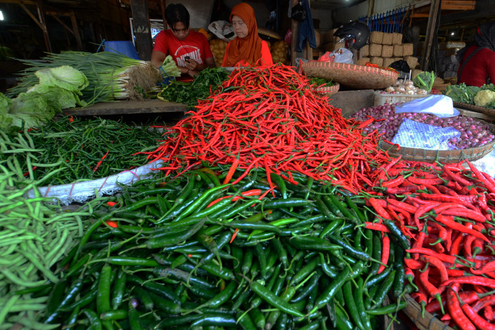 MEA 2015 Bisa Ubah Ancaman Pangan Jadi Peluang