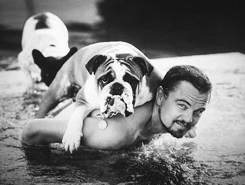 Leonardo DiCaprio Bantu Pembuatan Film Dokumenter Ikan Paus 'Kesepian'