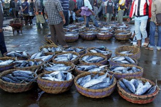 Empat Pilar Industri Maritim Jadi Target Pembiayaan IKNB