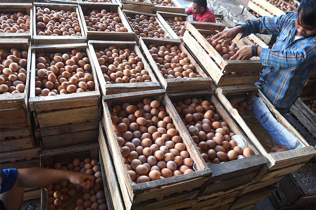 Harga Telur Ayam Turun