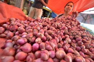 Harga Bawang Merah Melonjak 200 Persen