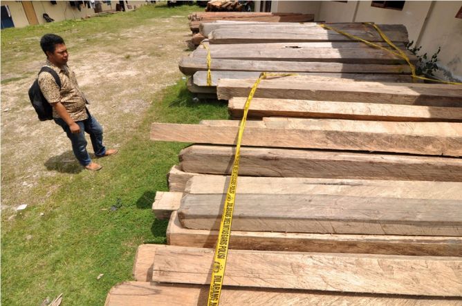 Polisi Sulteng Sita 12 Kubik Kayu Ilegal