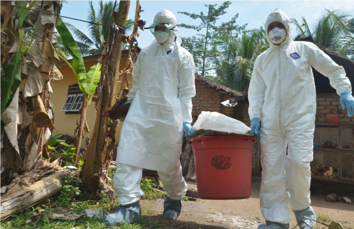 Dua Warga Cipondoh Tangerang Meninggal Diduga Terinfeksi Flu Burung
