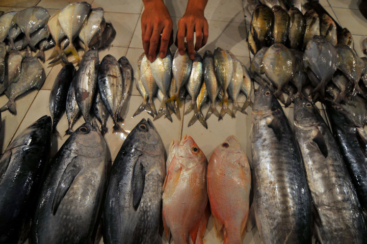 KKP Bantah Ada Perbudakan Usaha Perikanan di Indonesia