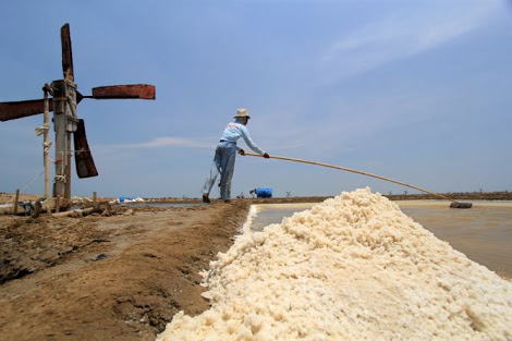 Garam, Komoditas Strategis Pendorong Ekonomi Nasional 
