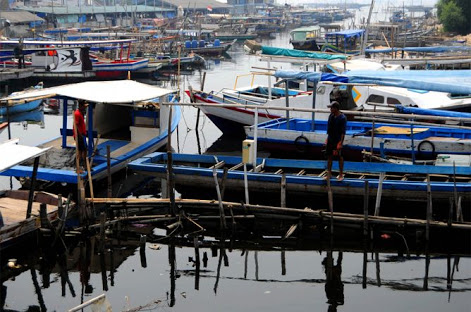 Hanya PT Berbadan Hukum yang Boleh Melaut 