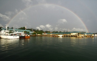 Pengusaha Dubai Berminat Investasi di Pulau Kepala Jeri