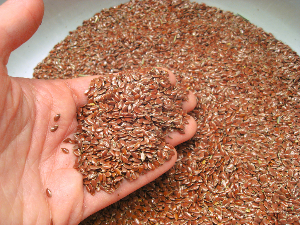 Foto: Flax Seeds / flickr.com