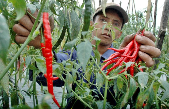  BI: Sumbar Terus Alami Deflasi