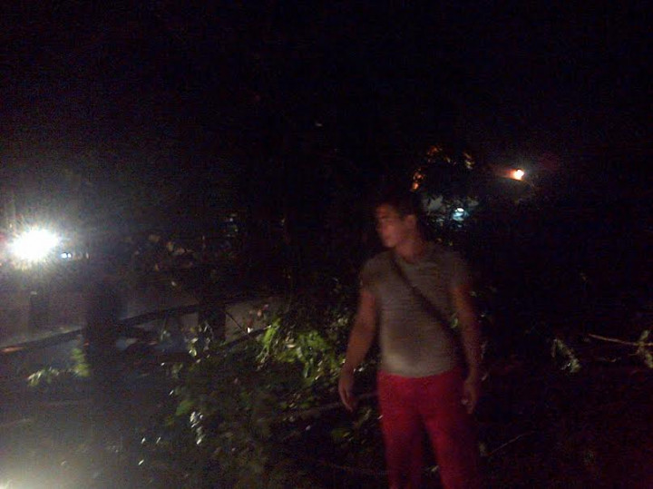 3 Pohon Tumbang, Ruas Jalan Kalimalang Macet    