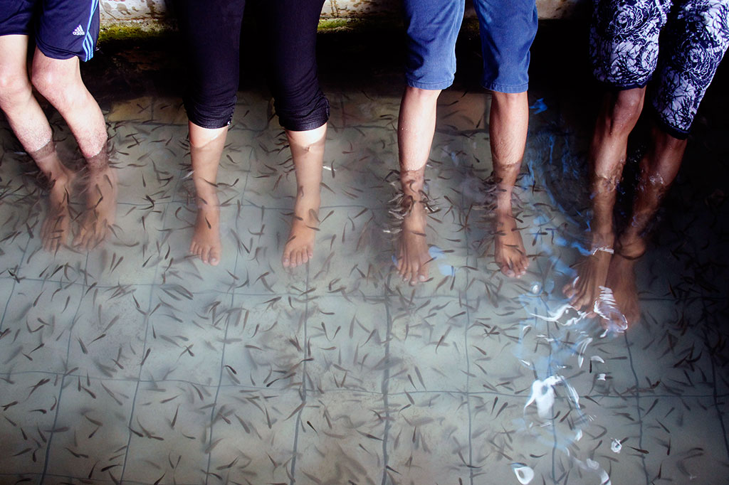 Ingin Kulit Sehat, Cobalah Terapi Ikan