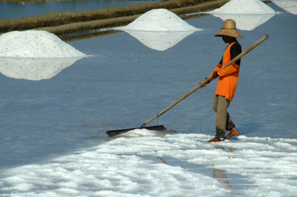 Ilustrasi. Antara/Saiful Bahri