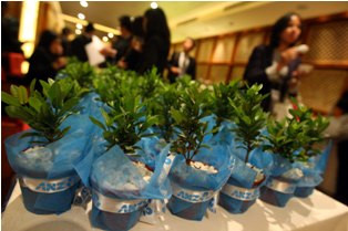 Investasi Hijau, Kadin: Pemerintah Perlu Berikan Insentif