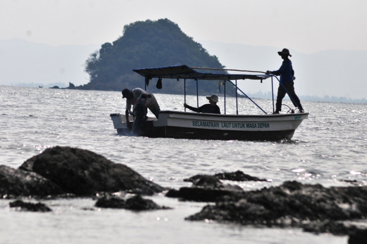 HNSI: Terumbu Karang Buatan Perlu Diperbanyak