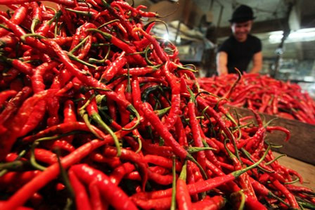 KAA, Bandar Cabai Merah di Garut Setop Pasokan ke Bandung