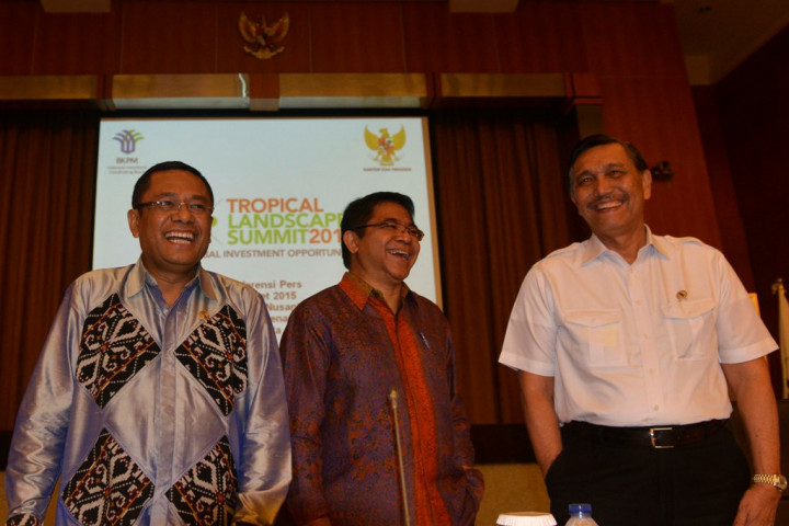 Pemerintah Siap Paparkan Potensi Investasi Hijau