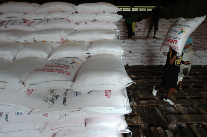 Pemerintah Didesak Selesaikan Masalah Subsidi Pupuk
