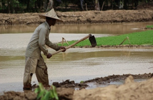 Fitra: Janji Rp1 Miliar, Realisasi Dana Desa Hanya Rp280 Juta