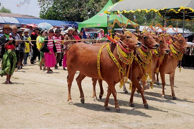 Budayawan Prihatin Jarang Anak Muda Berbahasa Madura di Sekolah