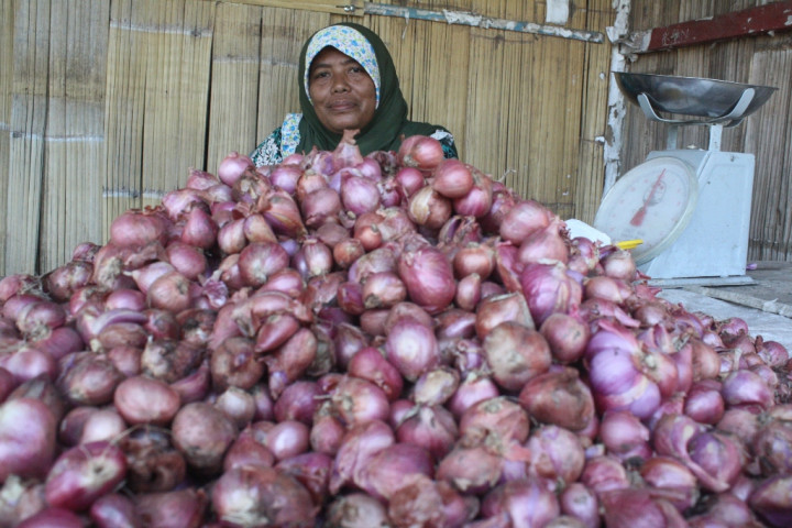 Di Papua, Harga Bawang Merah Alami Kenaikan