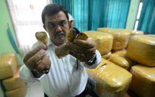 Polisi Gagalkan Penyelundupan 5 Ton Daging Trenggiling