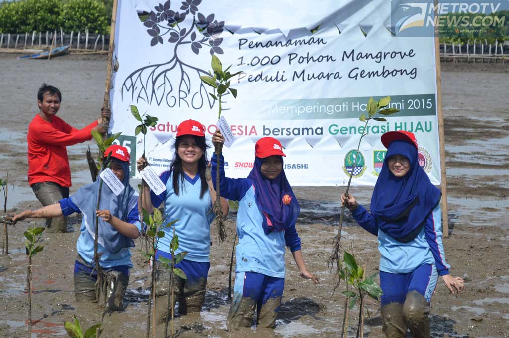 Honda Dan Sahabat Satu Hati Tanam 1000 Pohon Mangrove Medcomid