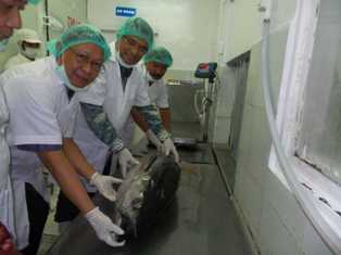 Industri Perikanan Jadi Pionir Pengembangan Kawasan Industri Bitung