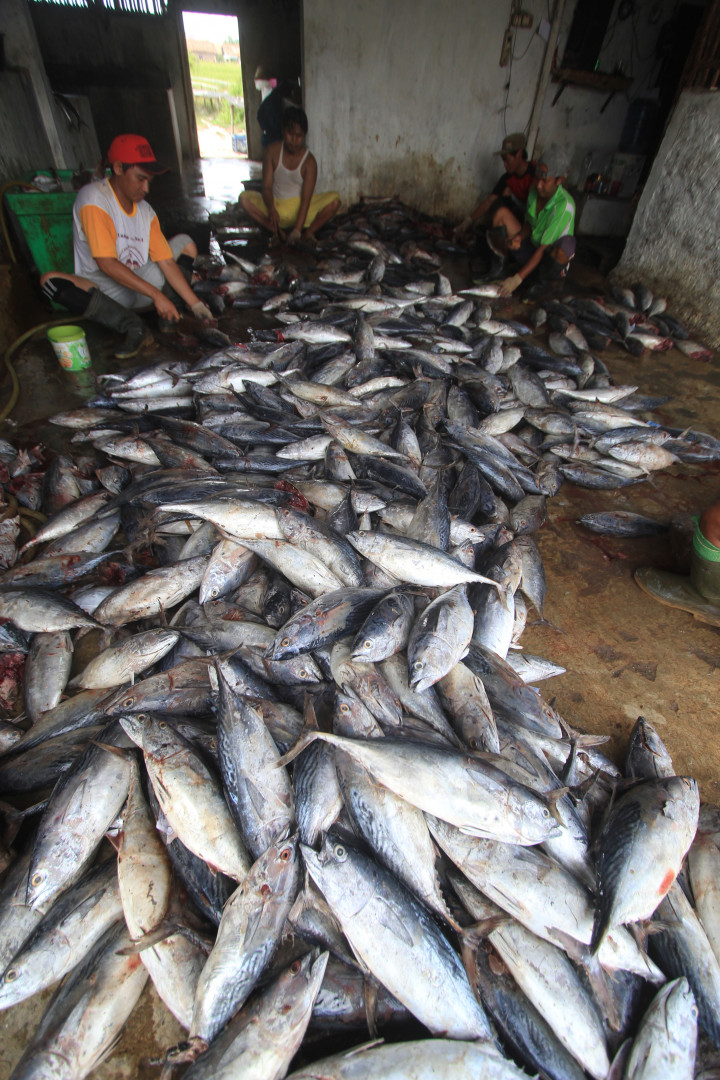 Aktivis Terus Desak Polisi Usut Tuntas Kasus Benjina