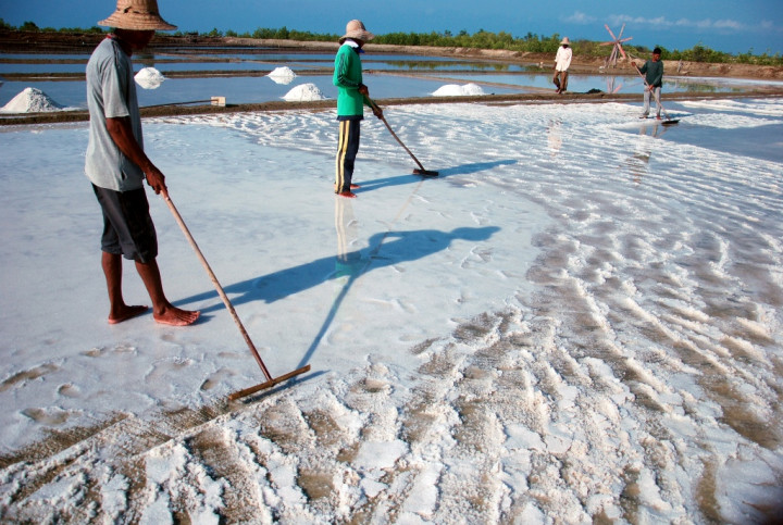 Potensi Industri Garam NTT Belum Digarap Optimal