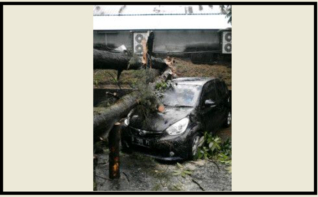 Foto: Pohon tumbang menimpa mobil warga di Jalan Belitung, Kota Bandung, Jawa Barat/MTVN_Iwan Gumilar