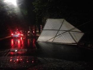 Jakarta Hujan Deras, Papan Reklame dan Sebuah Pohon Tumbang