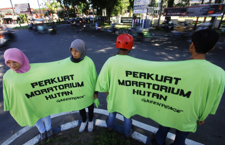 Greenpeace Minta Program Investasi Hijau Bukan Pencitraan