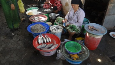 Dinkes Bangkalan Temukan Ikan Berformalin