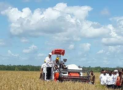 Jokowi: Merauke akan Jadi Lumbung Pangan Dunia 