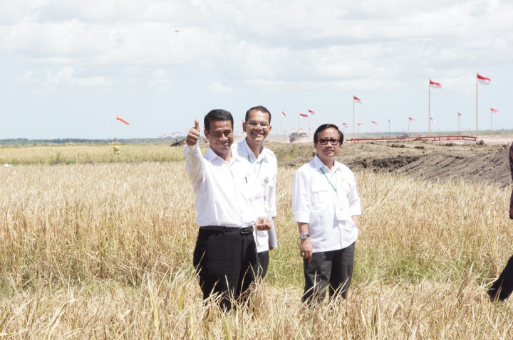 Mentan Jadikan Merauke Lumbung Pangan dalam 3 Tahun 