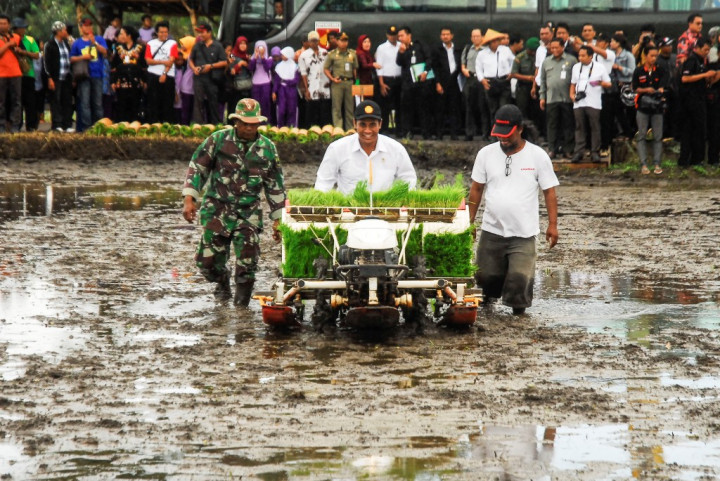 Merauke Jadi Lumbung Pangan, Pemerintah Gaet Pengusaha