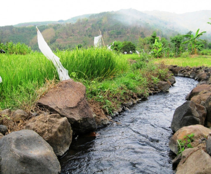 Tingkatkan Panen, Kelompok Tani Gunakan Dana Pemerintah Perbaiki Irigasi