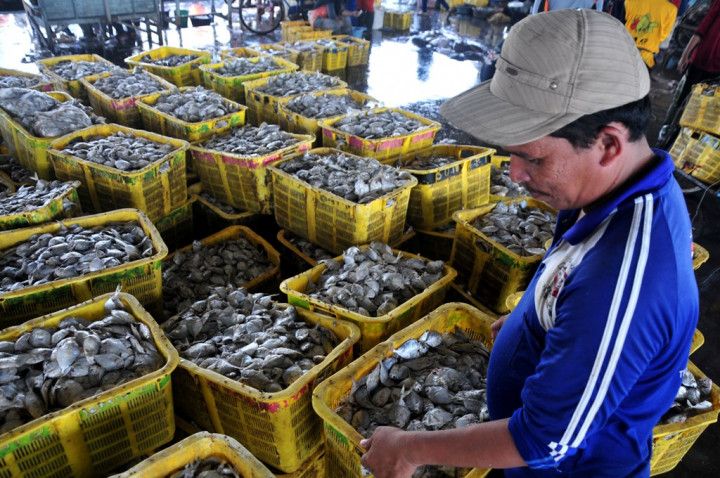 Harga Ikan di Pekalongan Naik Rp2.000/Kg