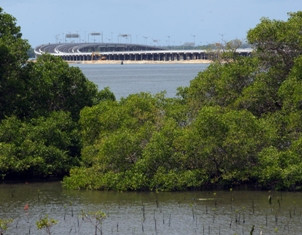 ALFI Optimistis Tol Laut Turunkan Biaya Logistik