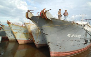 Penuhi Konsumsi <i>Seafood</i> Eropa & AS, RI Rugi Miliaran Rupiah