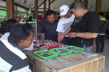Ini Cara Pecinta Batu Akik Peringati Harkitnas