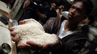 Ketua Komisi IV DPR: Beras Palsu Teror Pangan Indonesia