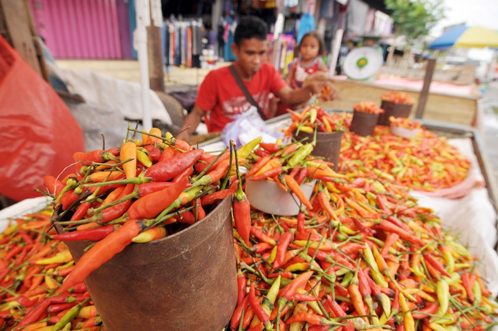 Harga Cabai Rawit di Jayapura Capai Rp80.000/Kg