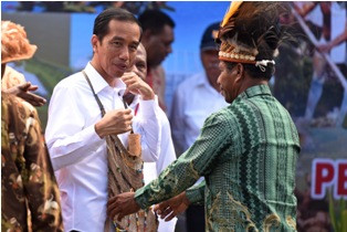 Politisasi Beras Sintetis, Jokowi: Tak Masuk Akal!